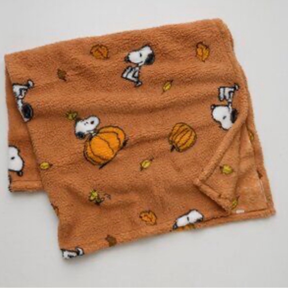 Cozy Snoopy Pumpkin Blanket - Soft - from American eagle